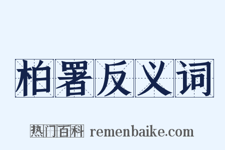 柏署反义词是什么意思的图片